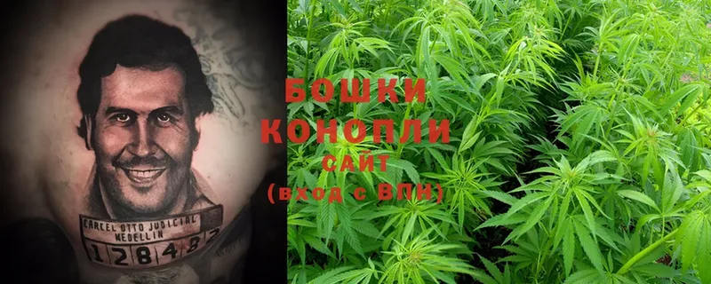 маркетплейс состав  Котово  Бошки Шишки OG Kush 